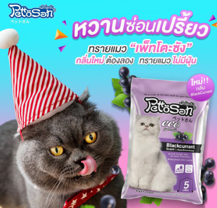 ทรายแมว