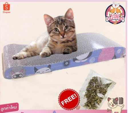 Boqi Factory ที่ฝนเล็บแมว